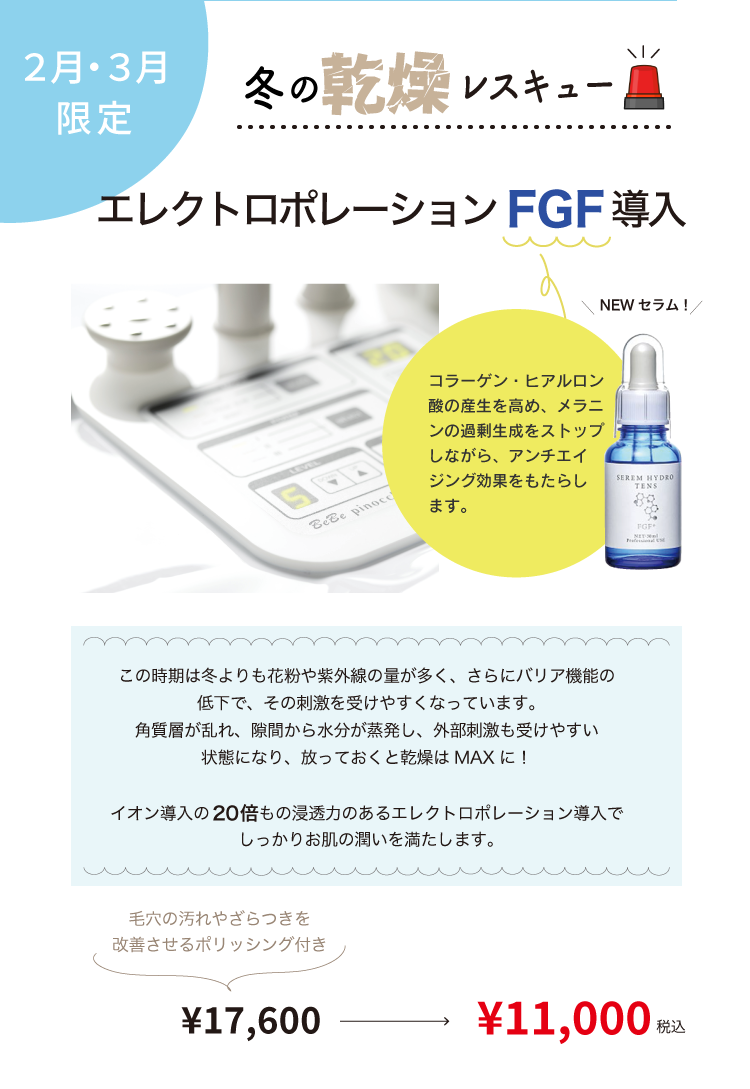 FGF導入キャンペーン